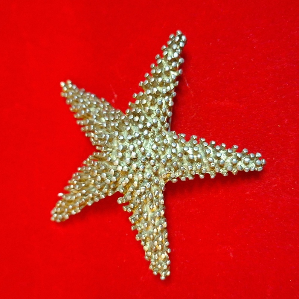 Vintage Gold StarFish Brutalist Large Brooch 3 in. - Picture 3 of 8